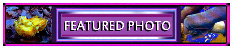 Jonny Olsen Featured Photo