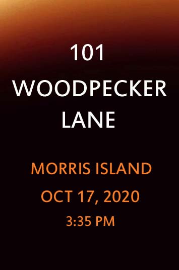 '101 Woodpecker Lane' by Jonny Olsen