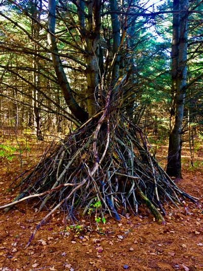 'Affordable Housing' by Jonny Olsen