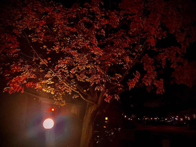 'Autumn Twilight' by Jonny Olsen