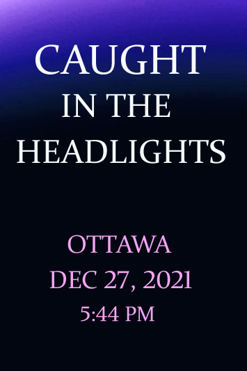 'Caught in the Headlights' by Jonny Olsen