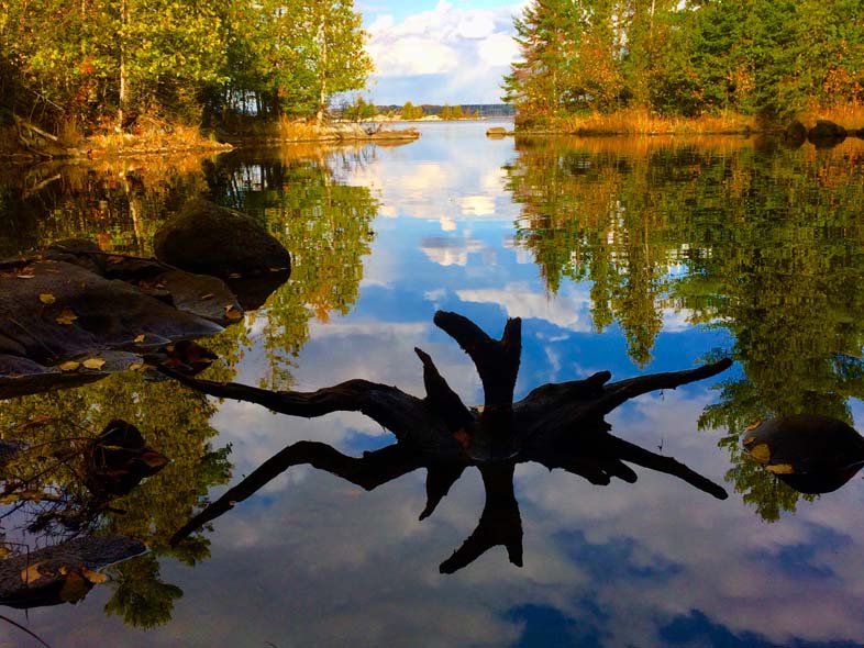 'Gateway Guardian' by Jonny Olsen