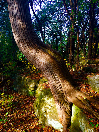 'Grace through Adversity' by Jonny Olsen