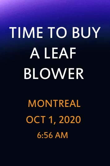 'Time to Buy a Leaf Blower' by Jonny Olsen