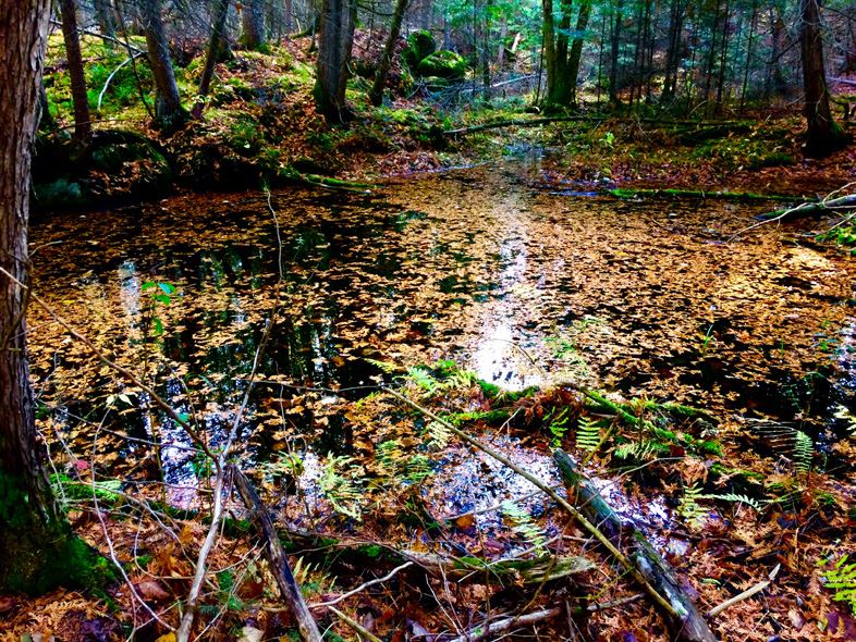 'Lovely, Dark and Deep' by Jonny Olsen