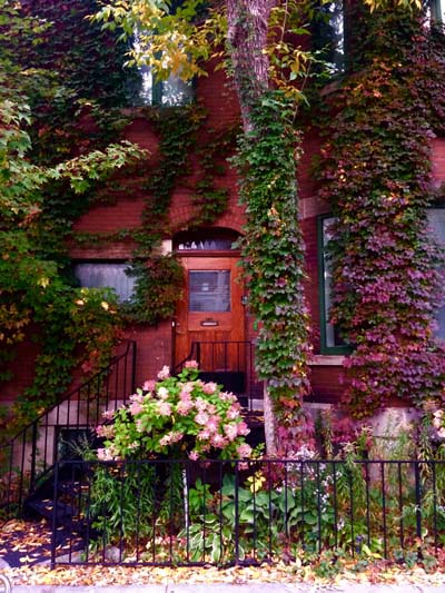 'Maison des Feuilles' by Jonny Olsen