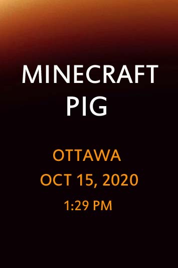 'Minecraft Pig' by Jonny Olsen
