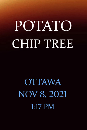 'Potato Chip Tree' by Jonny Olsen