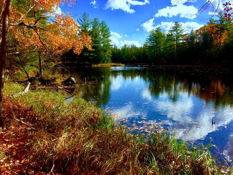 'River of Dreams' by Jonny Olsen