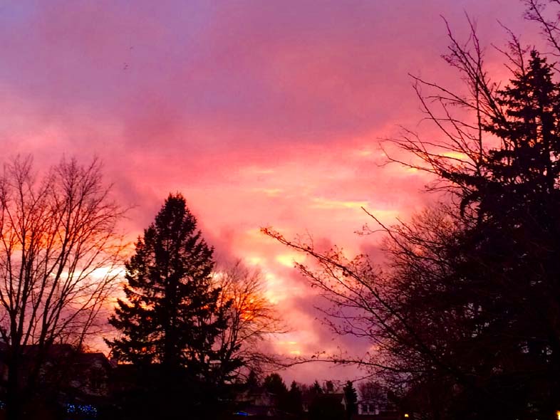 'Silent Bright' by Jonny Olsen