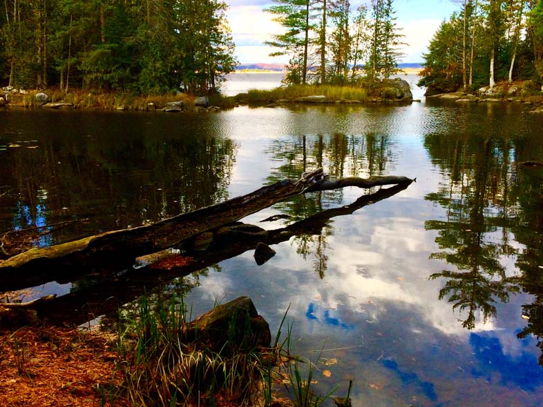 'Sugar Island' by Jonny Olsen